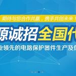 签约深圳市瑞隆源电子有限公司网站建设项目