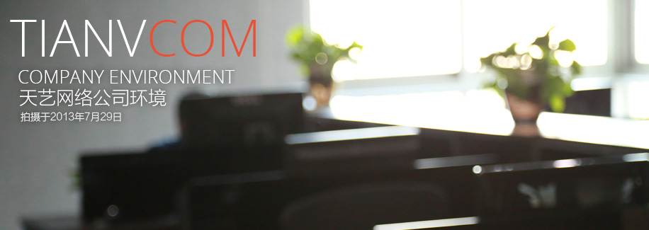 天艺网络公司环境